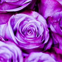 DDOS压力测试网页端